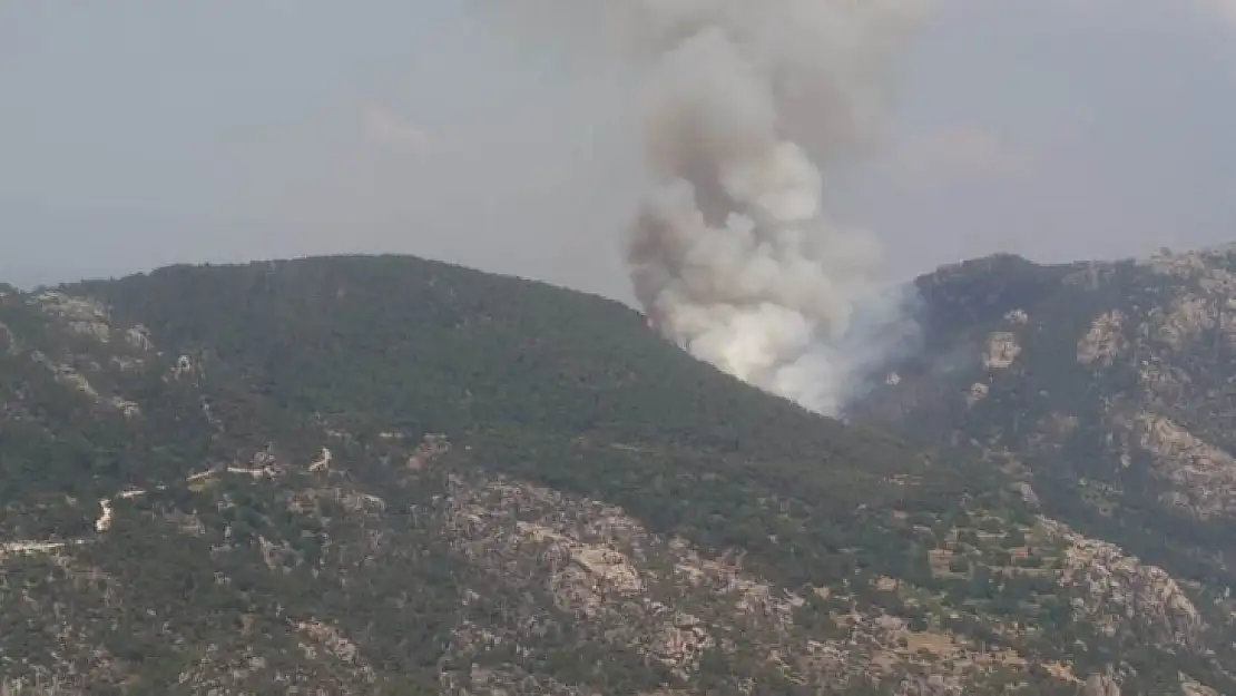 Selimiye Sakarkaya mevkiinde orman yangını