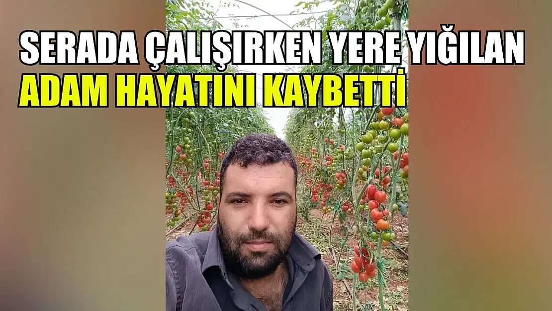 Serada çalışırken yere yığılan adam hayatını kaybetti