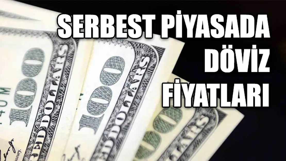 Serbest Piyasada Döviz Fiyatları