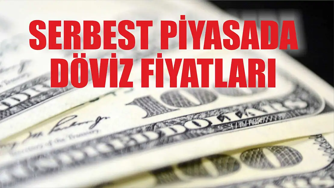 Serbest piyasada döviz fiyatları