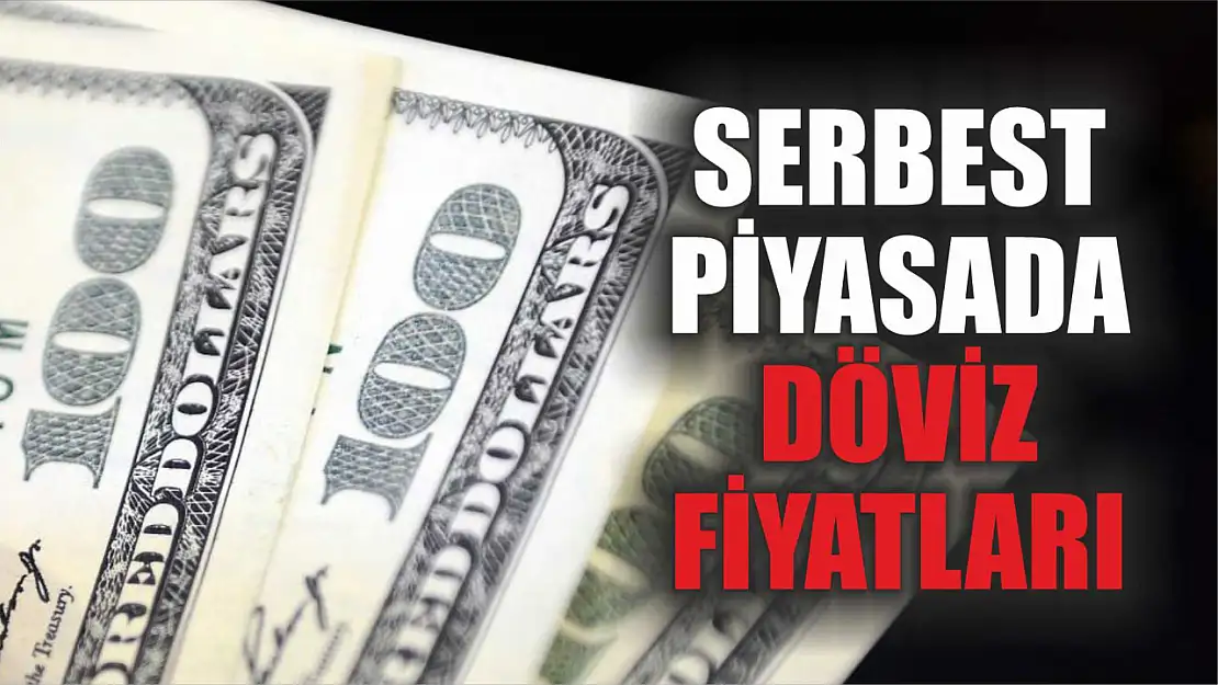 Serbest piyasada döviz fiyatları