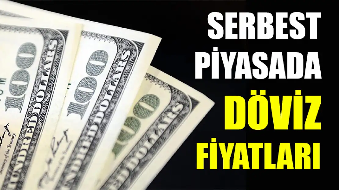 Serbest piyasada döviz fiyatları