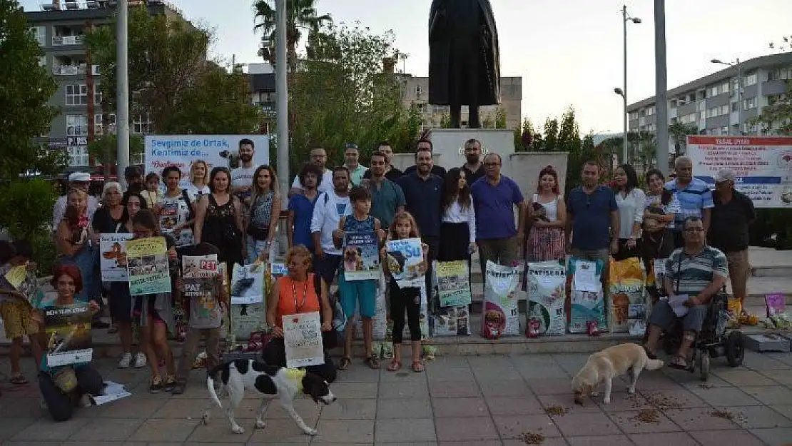 Sessiz dostlar için anlamlı proje