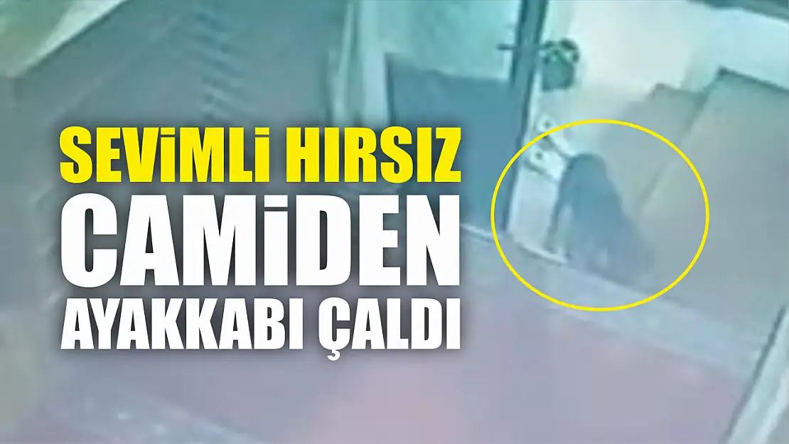 Sevimli hırsız camiden ayakkabı çaldı