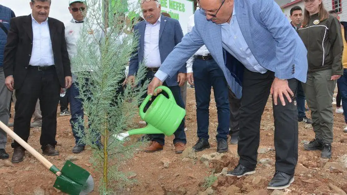 Seydikemer, 20 Bin Fidanı Toprakla Buluşturdu