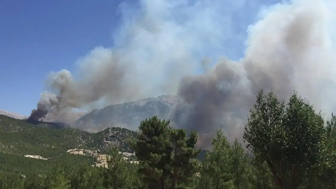 Seydikemer 'Çökek, Dere ve Bayır' Yangını Kontrol altına alındı