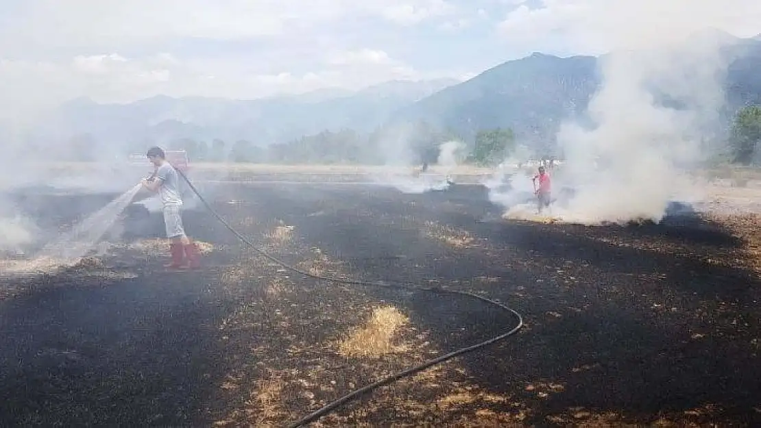 Seydikemer'de anız yangınında 80 saman balyası yandı