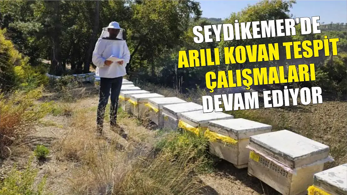 Seydikemer'de arılı kovan tespit çalışmaları devam ediyor