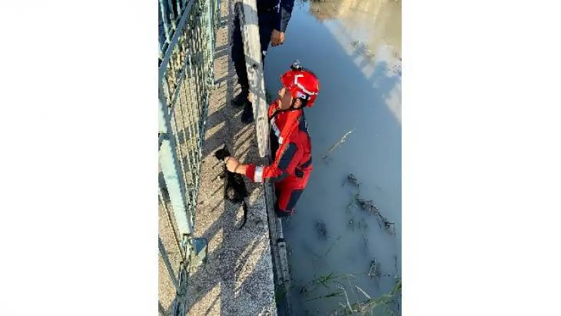 SEYDİKEMER'DE ÇAYA DÜŞEN KEDİYİ İTFAİYE KURTARDI