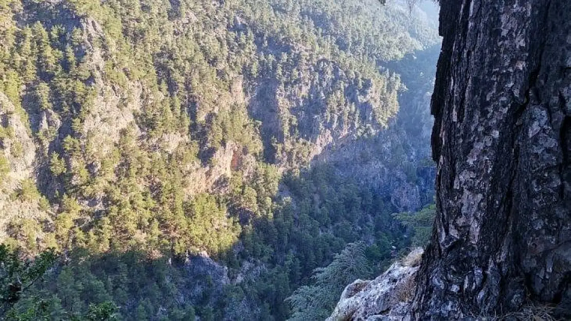 Seydikemer'de kayalıklardan uçuruma düşen kişi aranıyor