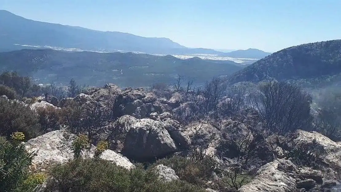 Seydikemer'de makilik alandaki yangın söndürüldü