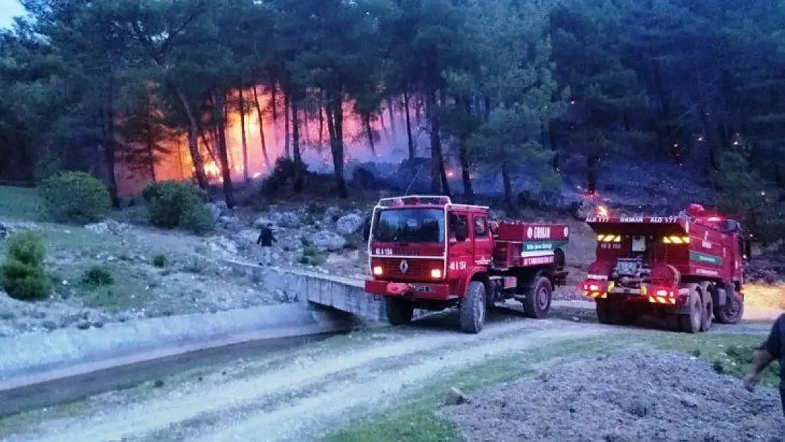 Seydikemer'de orman yangını