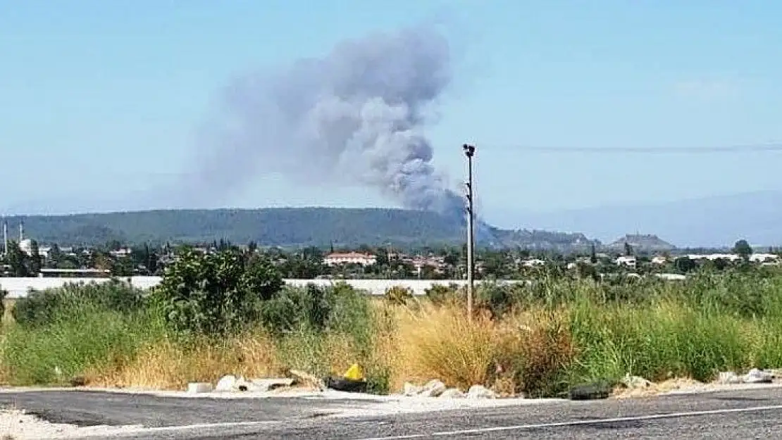 Seydikemer'de orman yangını