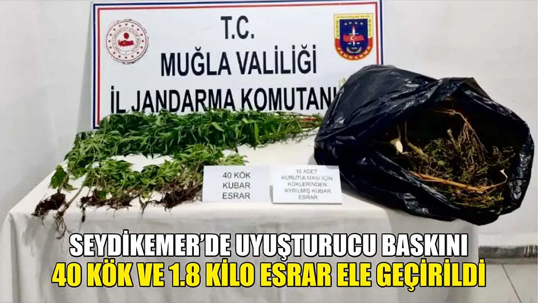 Seydikemer'de Uyuşturucu Baskını, 40 Kök ve 1.8 Kilo Esrar Ele Geçirildi