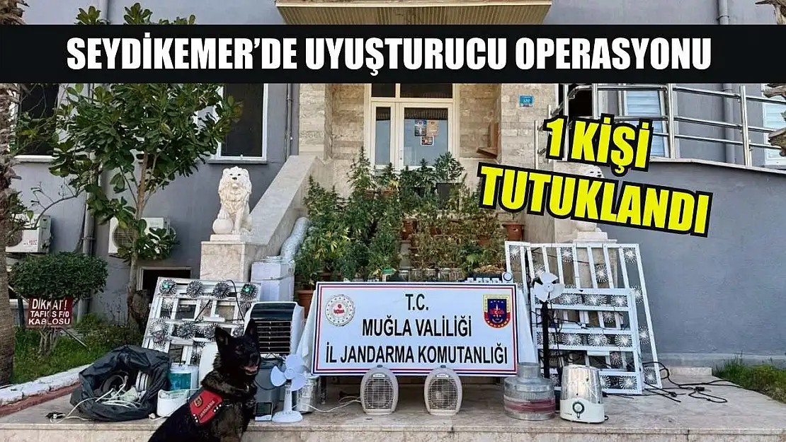 Seydikemer'de uyuşturucu operasyonu: 1 kişi tutuklandı