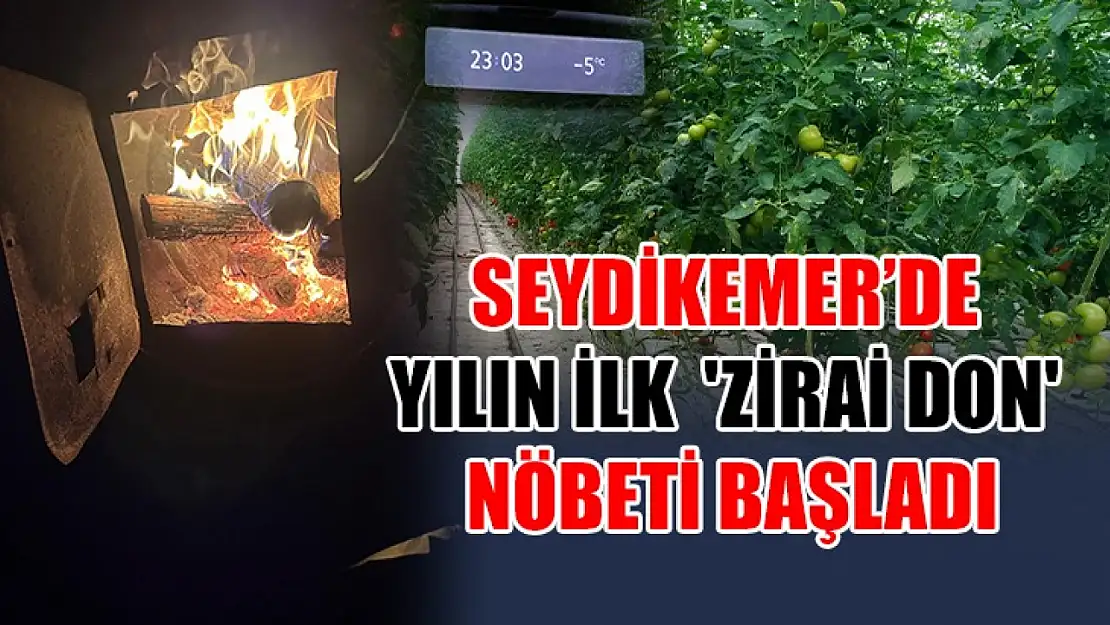 Seydikemer'de yılın ilk  'zirai don' nöbeti başladı