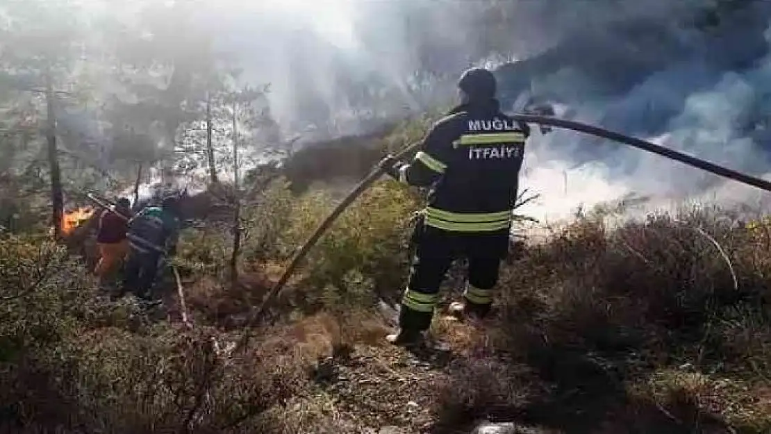 Seydikemer'deki orman yangını kontrol altına alındı