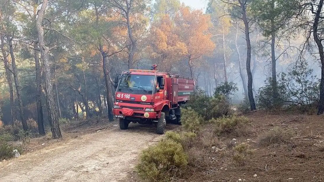 Seydikemer'deki yangın kontrol altına alındı