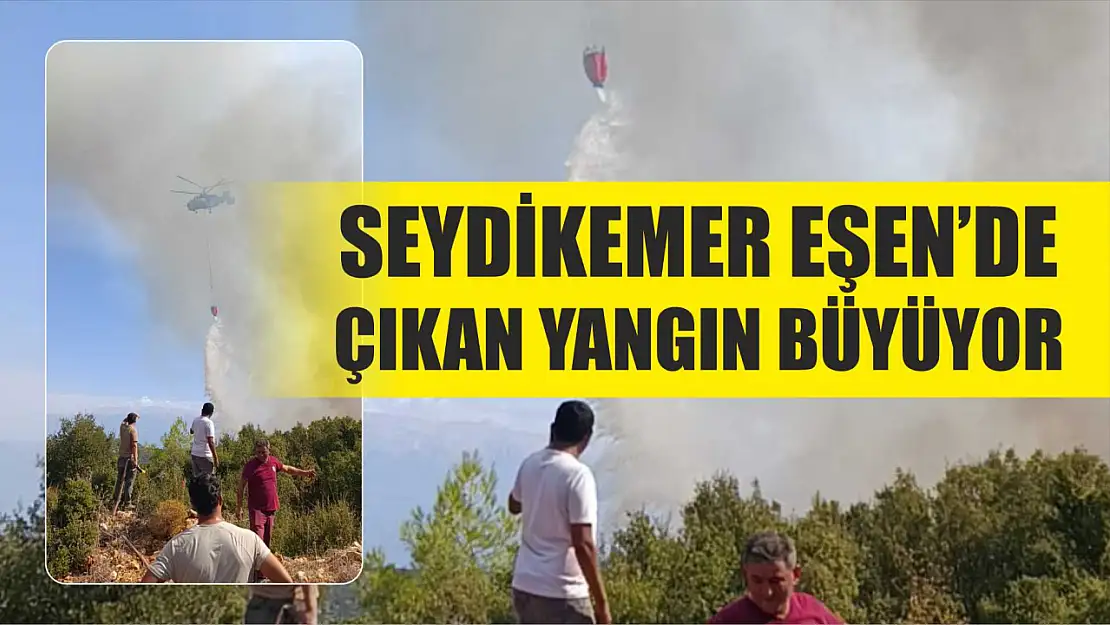 Seydikemer Eşen'de çıkan yangın büyüyor