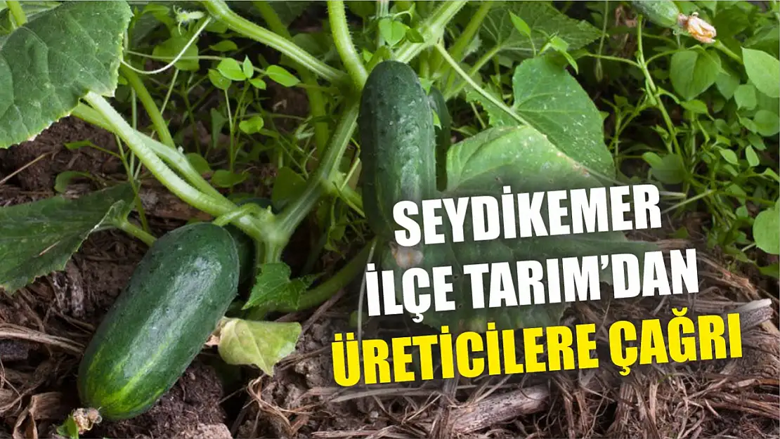 Seydikemer İlçe Tarım'dan üreticilere çağrı