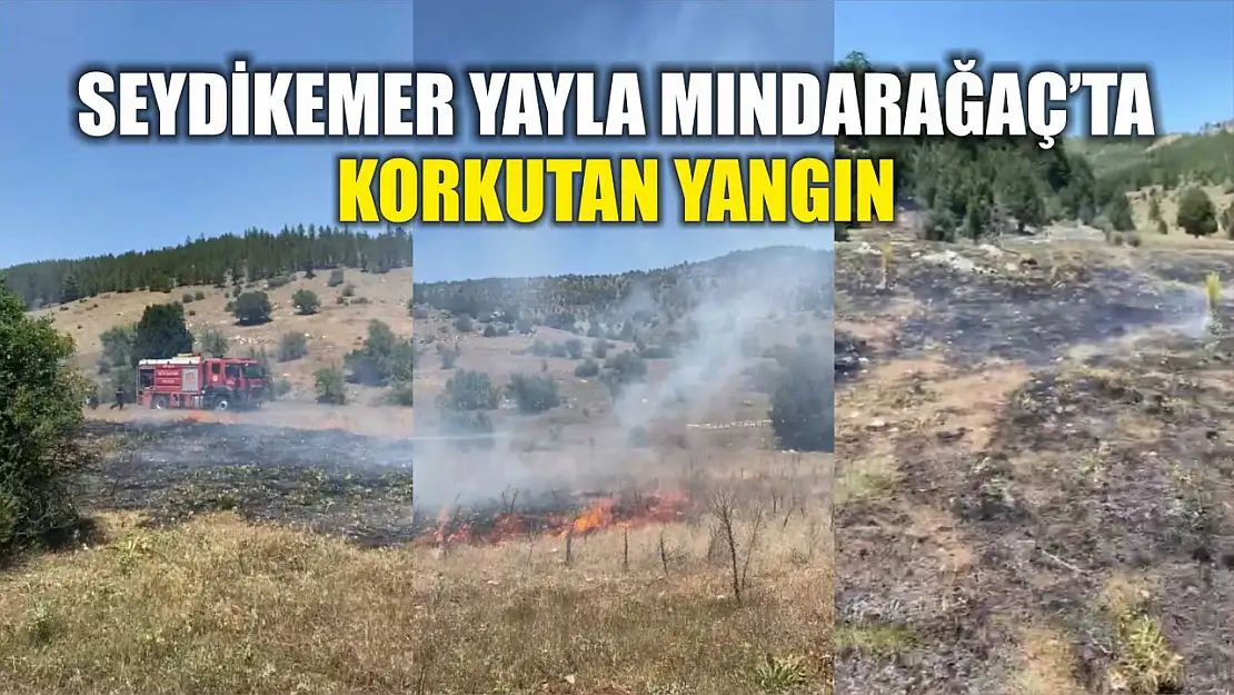 Seydikemer Yayla Mındarağaç'ta korkutan yangın
