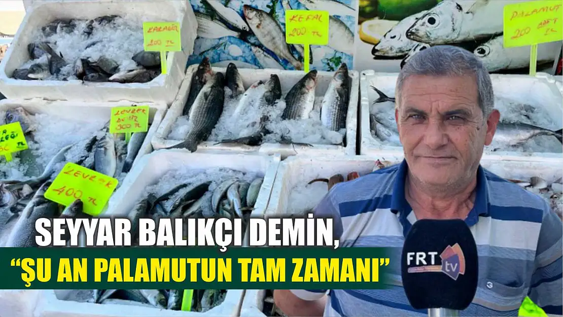 Seyyar Balıkçı Demin, 'Şu an Palamutun Tam Zamanı'