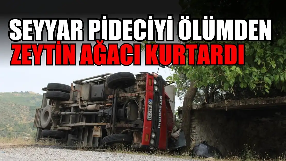 Seyyar pideciyi ölümden zeytin ağacı kurtardı