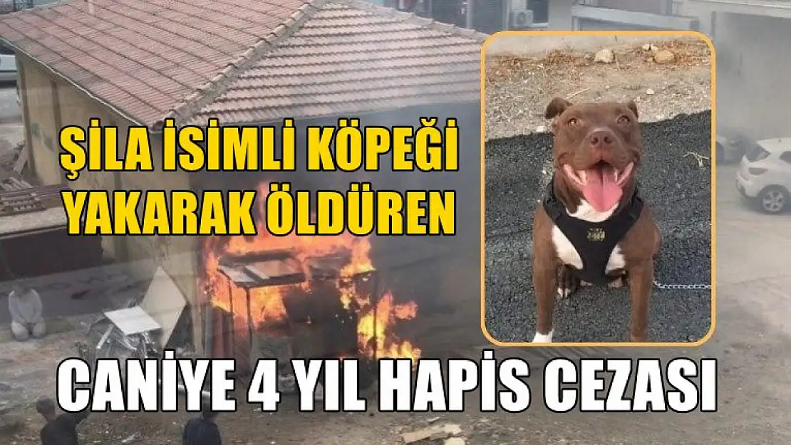 Şila isimli köpeği yakarak öldüren caniye 4 yıl hapis cezası