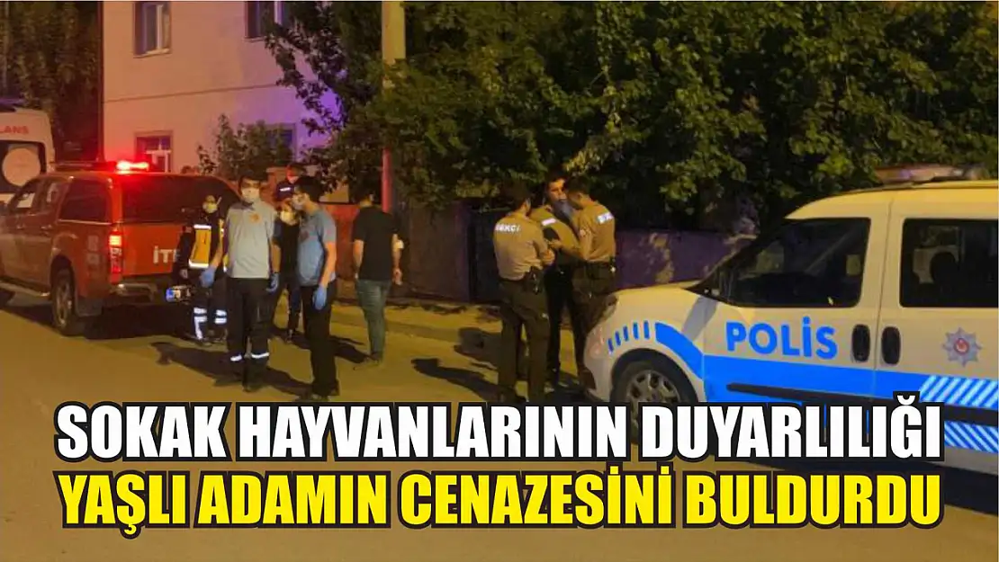 Sokak hayvanlarının duyarlılığı yaşlı adamın cenazesini buldurdu