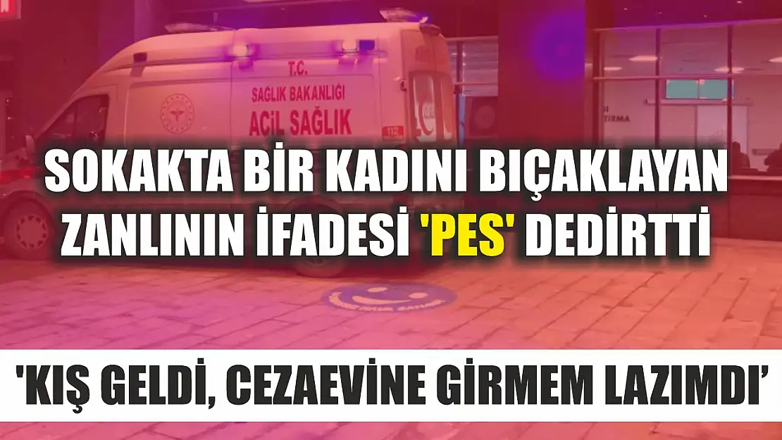 Sokakta bir kadını bıçaklayan zanlının ifadesi 'pes' dedirtti: 'Kış geldi, cezaevine girmem lazımdı