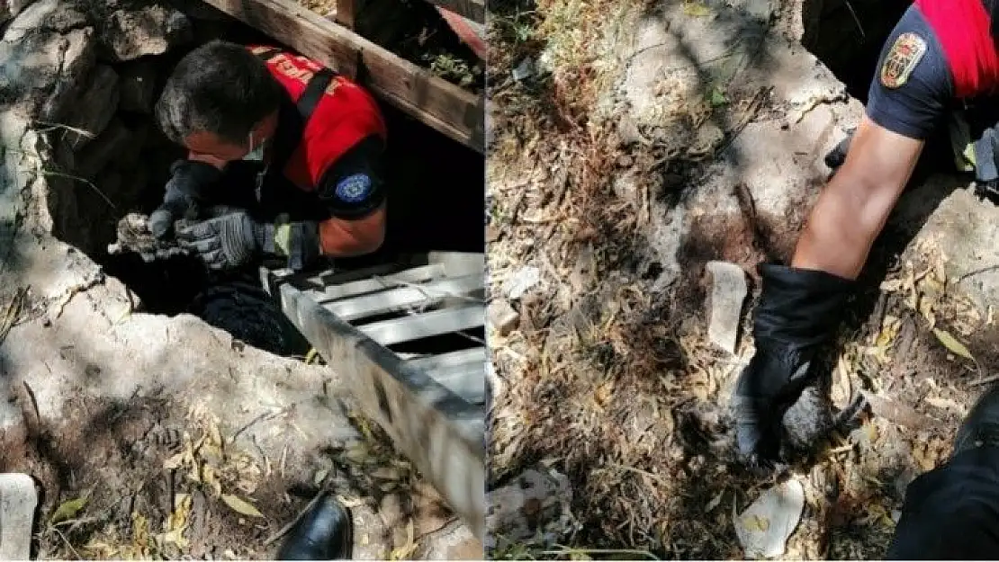 Su kuyusuna düşen yavru kedi kurtarıldı