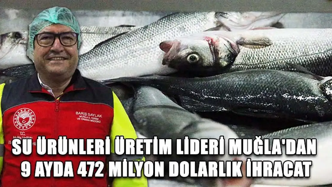 Su ürünleri üretim lideri Muğla'dan 9 ayda 472 milyon dolarlık ihracat