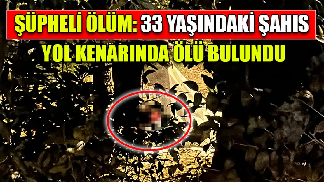 Şüpheli ölüm: 33 yaşındaki şahıs yol kenarında ölü bulundu