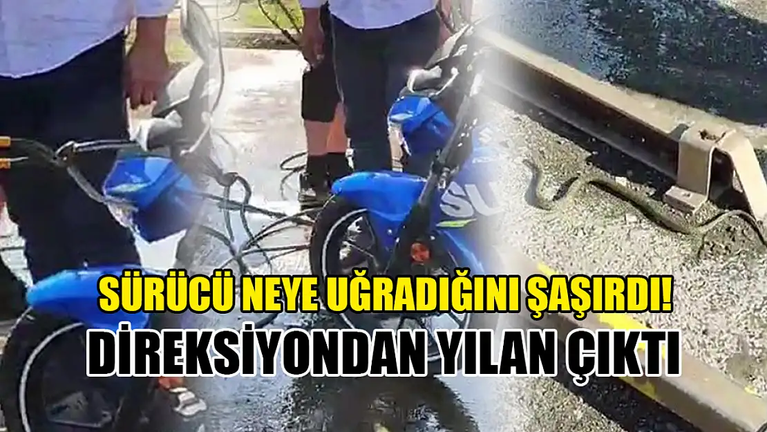 Sürücü neye uğradığını şaşırdı! Direksiyondan yılan çıktı