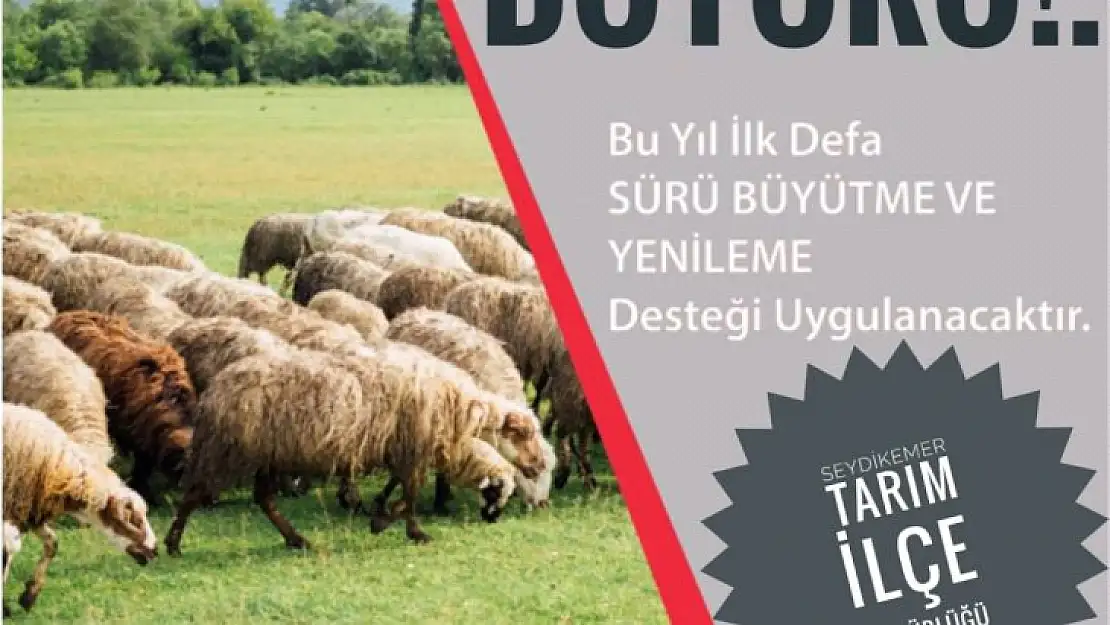 Sürüsünü Büyütmek İsteyen Desteklenecek