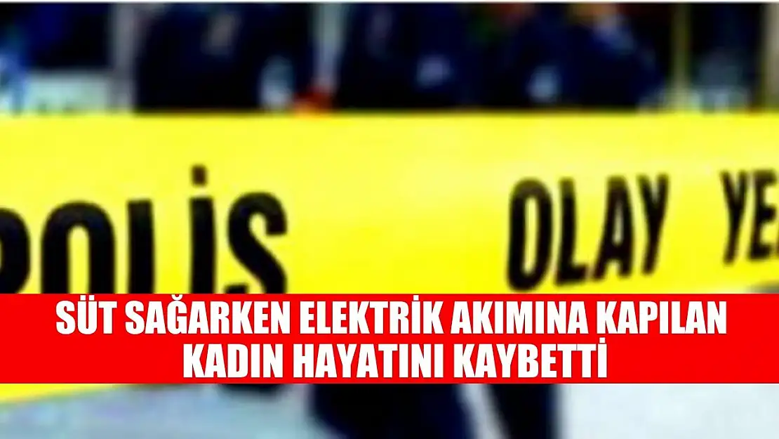 Süt sağarken elektrik akımına kapılan kadın hayatını kaybetti