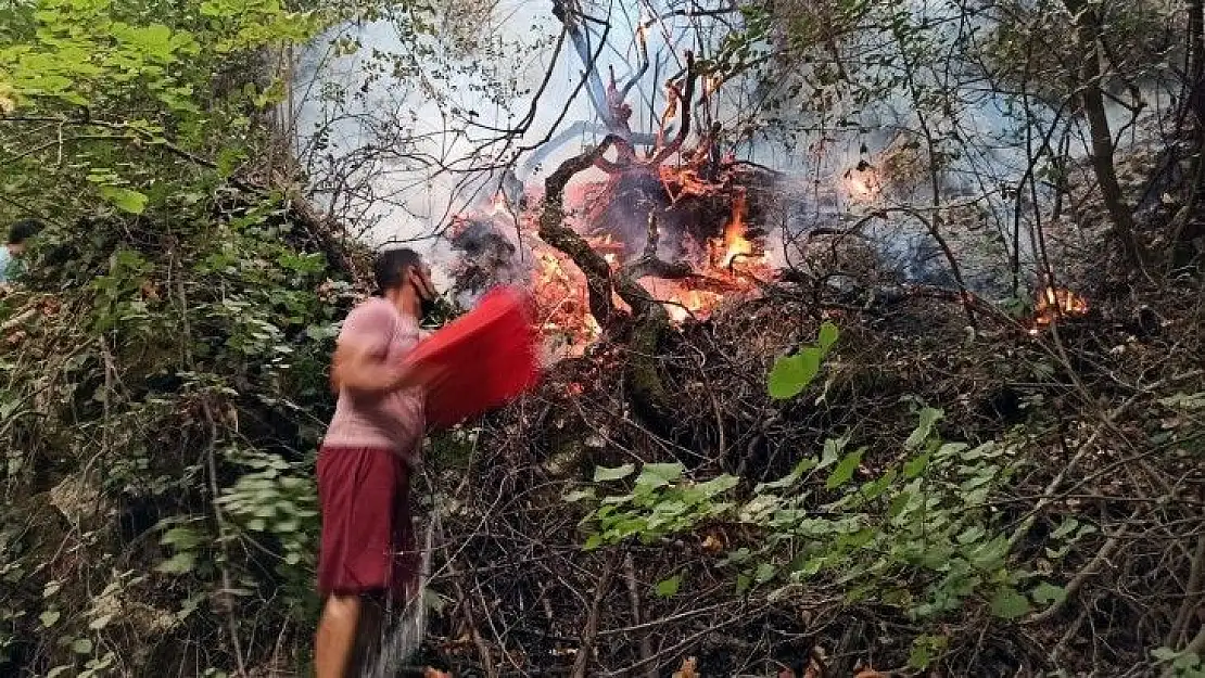 Tabiatın gizli hazinesi 'Turgut Şelalesi' de alevlere teslim oldu