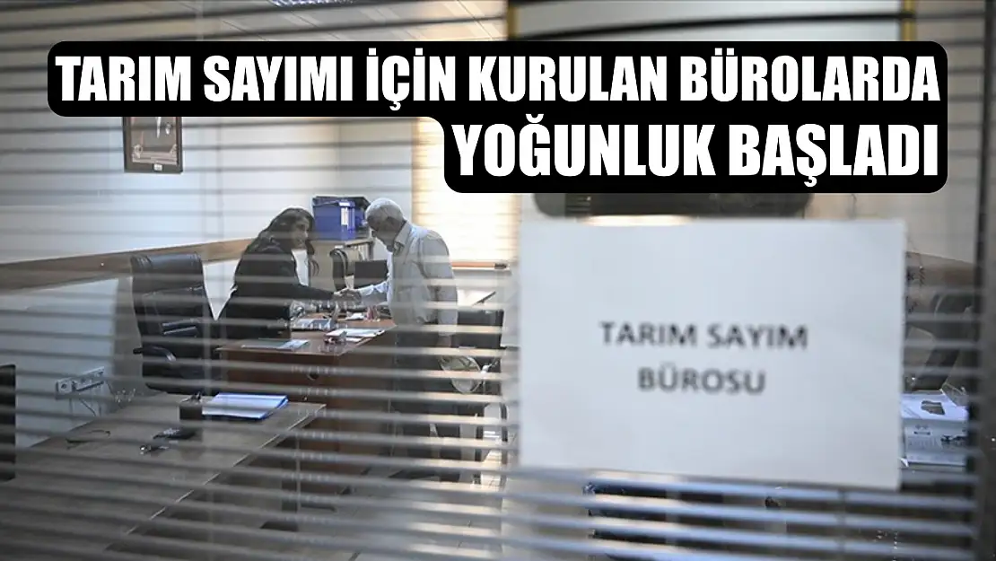Tarım sayımı için kurulan bürolarda yoğunluk başladı