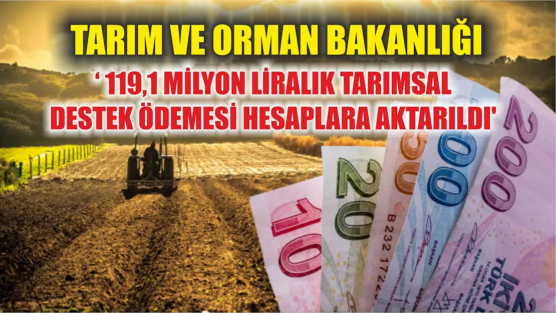 Tarım ve Orman Bakanlığı: ' 119,1 milyon liralık tarımsal destek ödemesi hesaplara aktarıldı'