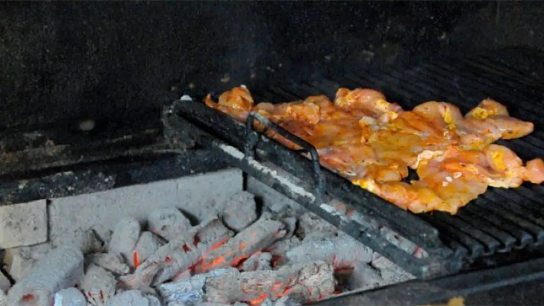 Tarım ve Orman Bakanlığı, park ve mesire yerlerinde mangal yapmayı yasakladı.