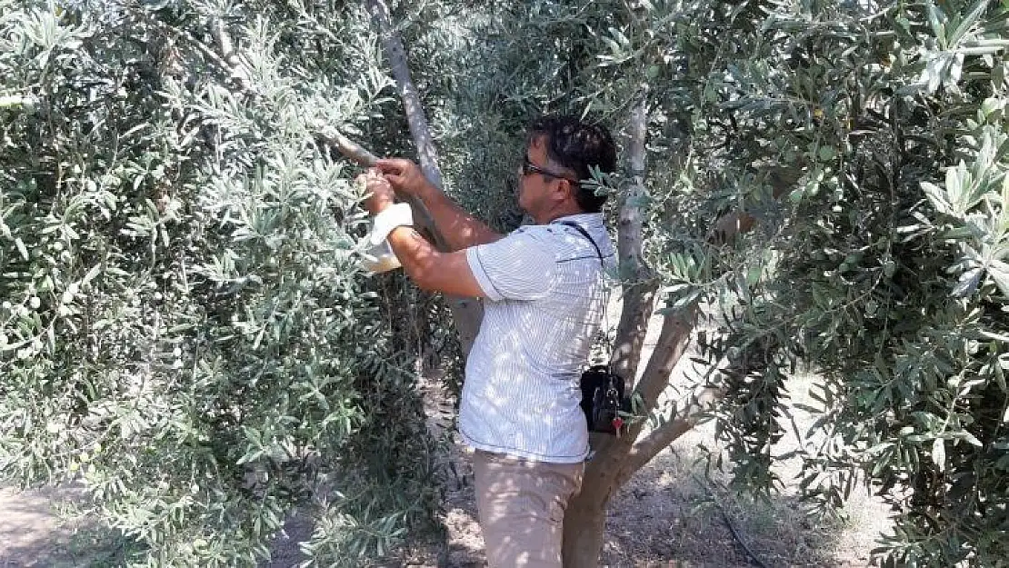 Uzmanlar Uyarıyor 'Kıtlığa, göçlere ve savaş gibi felaketlere yol açabilir'