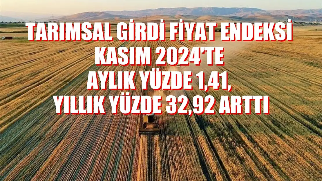 Tarımsal girdi fiyat endeksi Kasım 2024'te aylık yüzde 1,41, yıllık yüzde 32,92 arttı