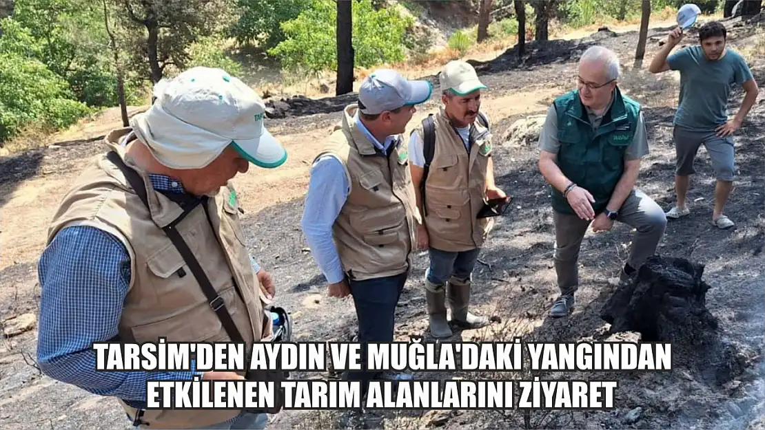 TARSİM'den Aydın ve Muğla'daki yangından etkilenen tarım alanlarını ziyaret