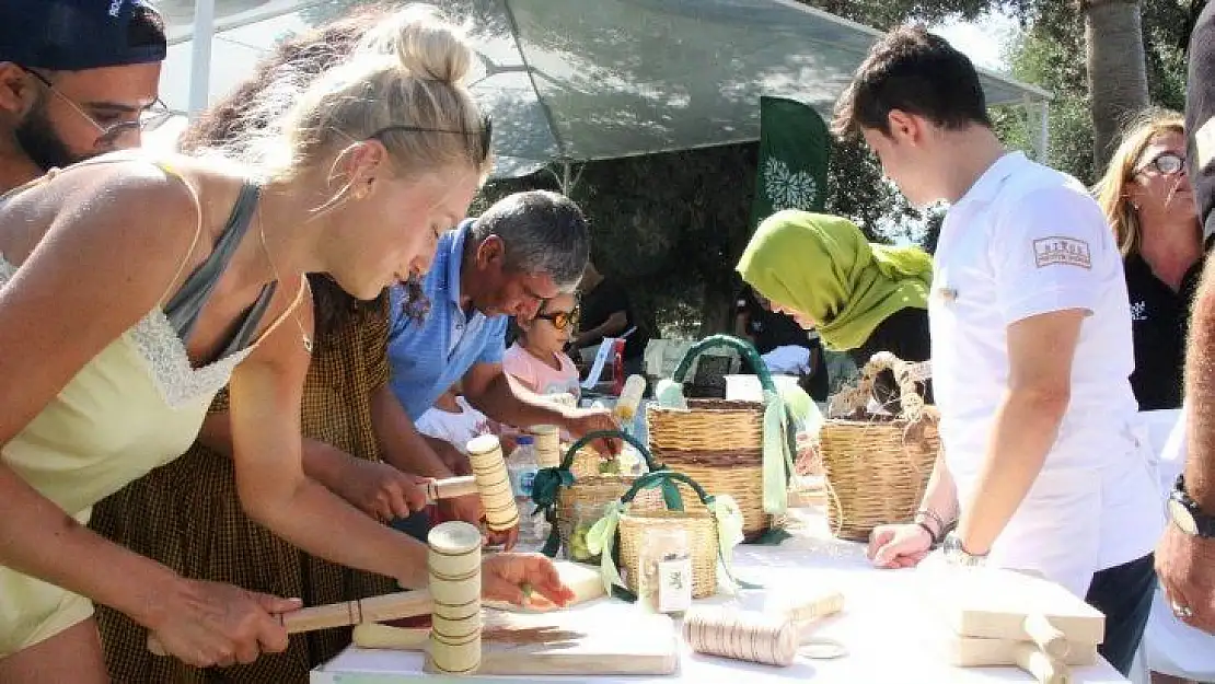 Tatile gelen turistler denizden çıkıp 500 yıllık ağaçlardan zeytin topladı