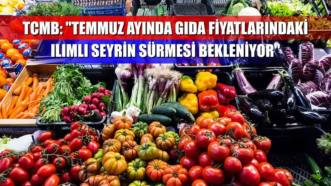 TCMB: 'Temmuz ayında gıda fiyatlarındaki ılımlı seyrin sürmesi bekleniyor'