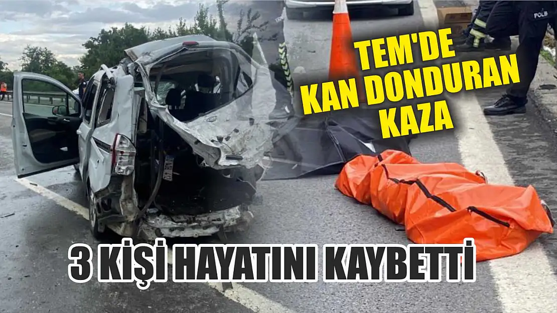 TEM'de Kan Donduran Kaza: 3 kişi Hayatını Kaybetti