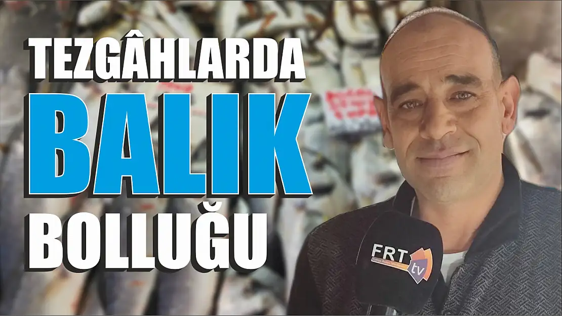 Tezgâhlarda balık bolluğu