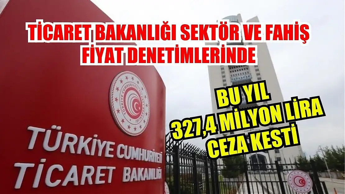 Ticaret Bakanlığı sektör ve fahiş fiyat denetimlerinde bu yıl 327,4 milyon lira ceza kesti