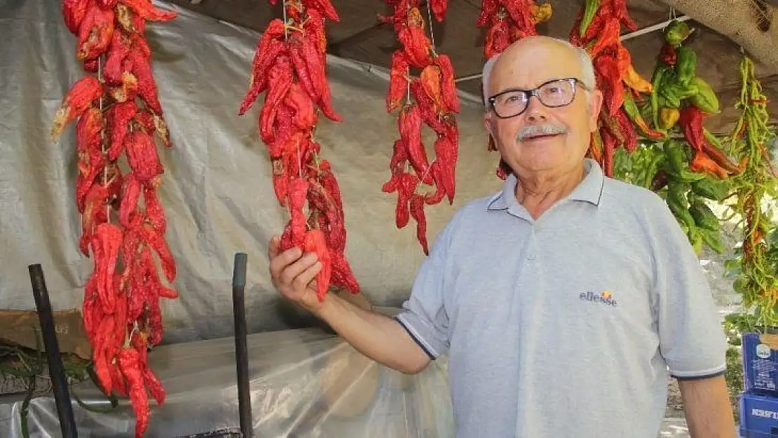 Tıkıratma biber geleneği Muğla'da yüzlerce yıldır sürdürülüyor