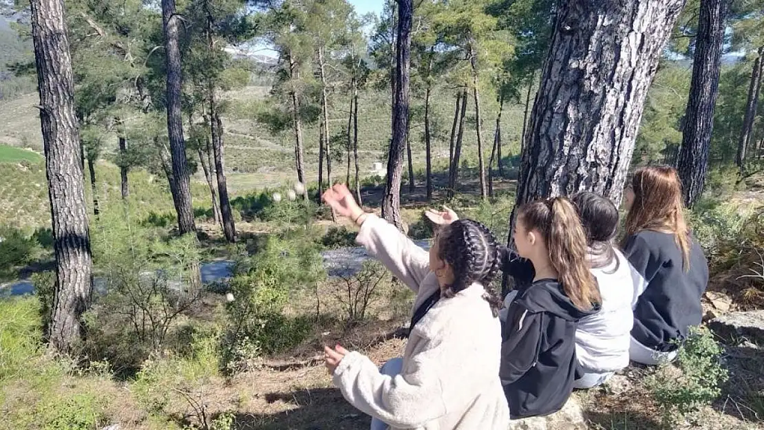 Tohum bombaları toprakla buluştu